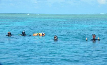 Divers floating in the water