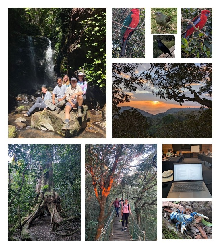 photo montage of O'Reilly's writing retreat