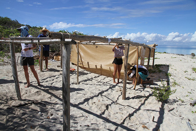 Researchers setting up shade structure for turtle nests