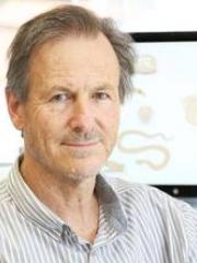 Professor Richard Lewis