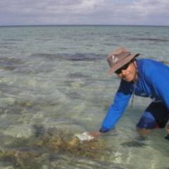 Professor Justin Marshall in the field