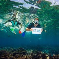 People underwater swimming