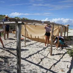 Researchers setting up shade structure for turtle nests