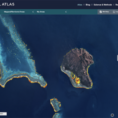 Satelite image of New Caledonia and adjacent reef taken April 2021