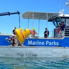 Photo of sensory buoy being deployed