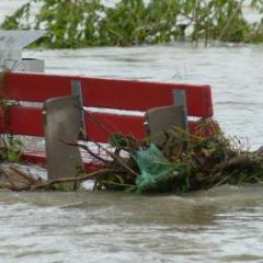 Stormwater rises around a park bench