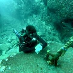 Placing pressure transducers in the inner lagoon of Temae, Moorea. Photo by V. Parravicini