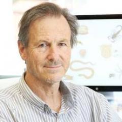 Professor Richard Lewis