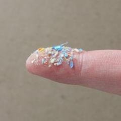 Micro plastics on human finger