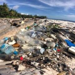 Plastic rubbish on a beach