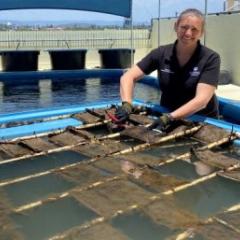 PhD Candidate Tracey Read Checks Samples on the Gold Coast